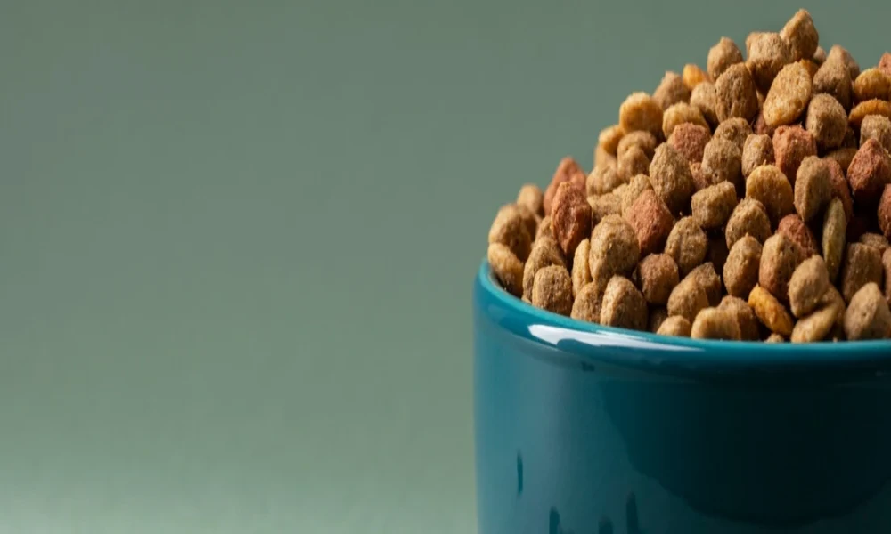 How to Choose High-Quality Freeze-Dried Dog Treats